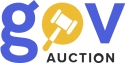 auction gov